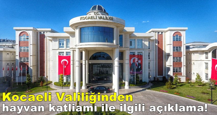 Kocaeli Valiliğinden Gebze'deki hayvan katliamı ile ilgili açıklama!