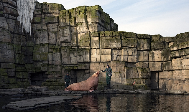 İstanbul Modern’de ‘Hayaller ve Yerler’