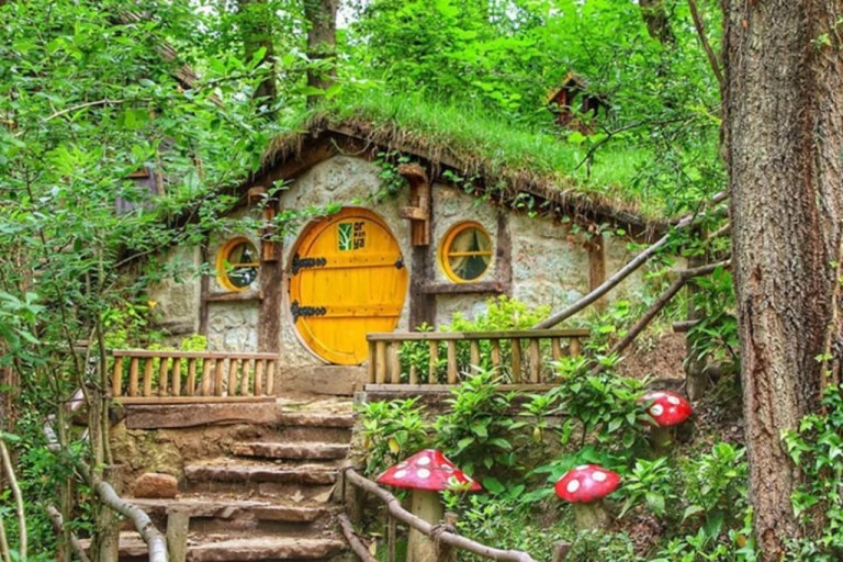 Ormanya Ramazan Bayramı’nda açık