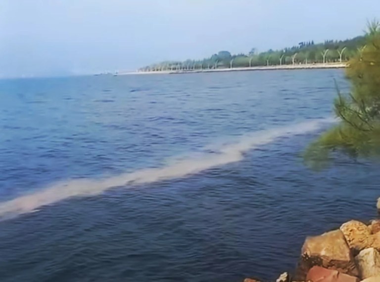 Körfez’de deniz yüzeyi renk değiştirdi