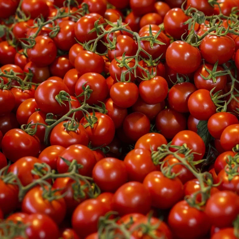 Bakanlık harekete geçti: Çeri domateste fahiş fiyat!