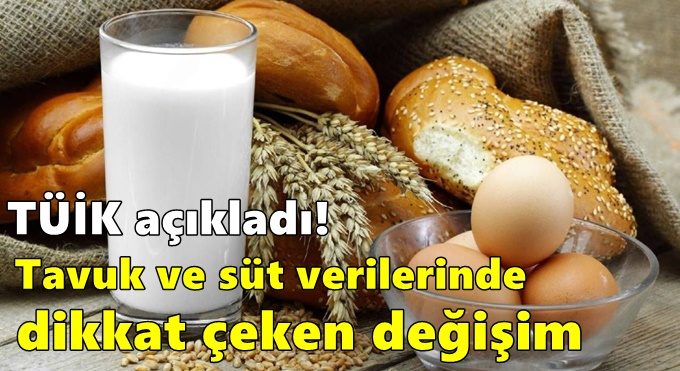 Tavuk ve süt verilerinde dikkat çeken değişim