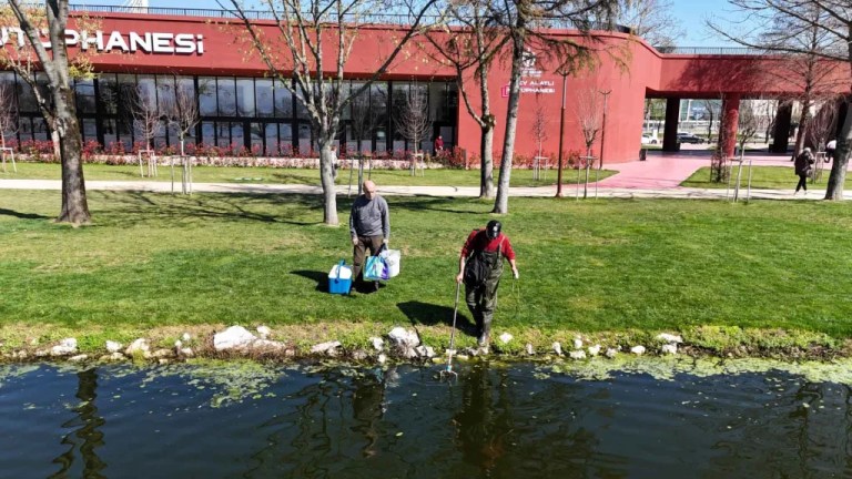 İzmit Millet Bahçesi Göletinde Ekolojik İnceleme