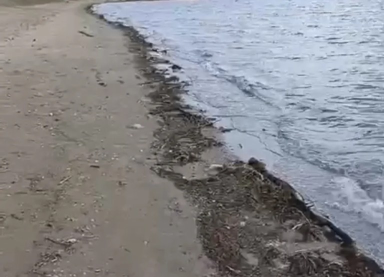 İzmit Körfezi’nde sağanak sonrası temizlik