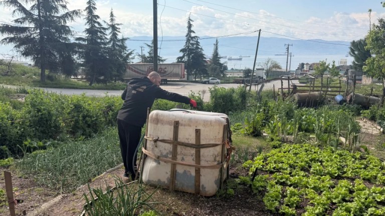 Kocaeli’de vektörle mücadele hız kazandı