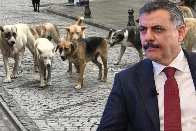 Bakan Çiftçi’den belediyelere net uyarı!