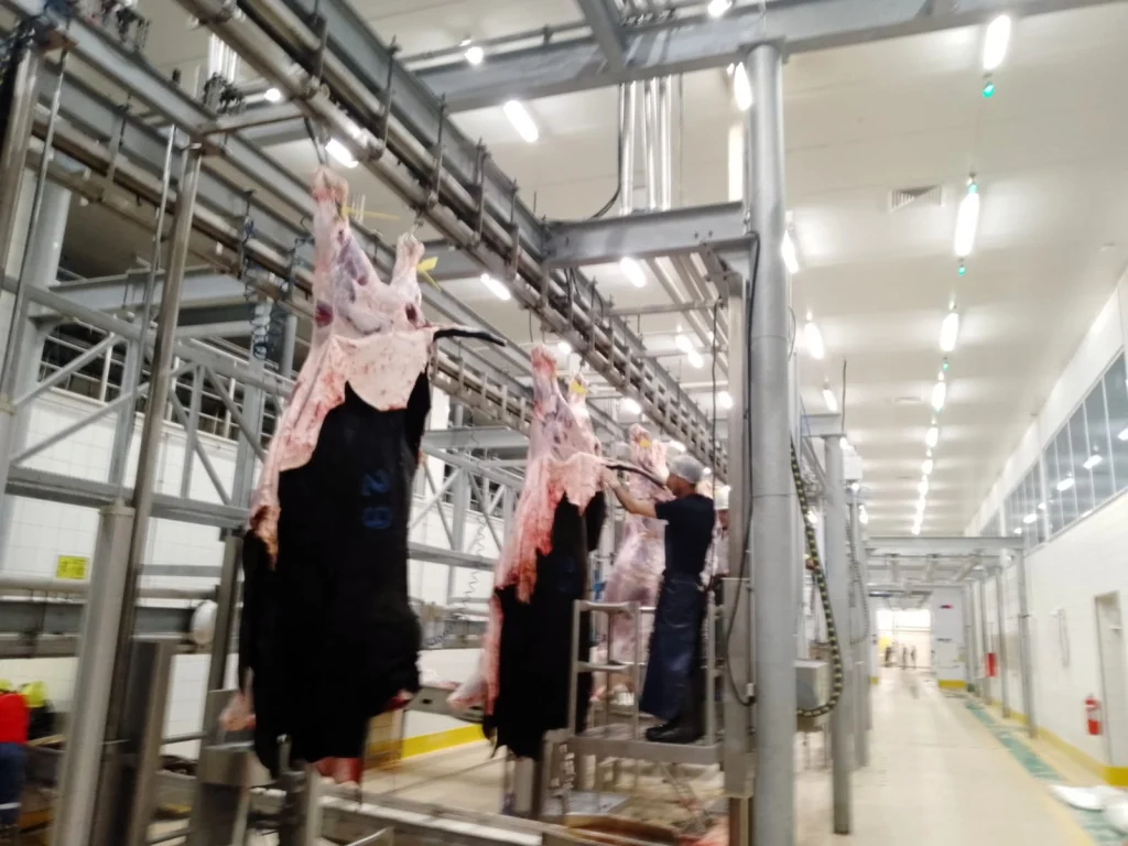 Büyükşehir Mezbahası’nda kurban kesimi tamamlandı