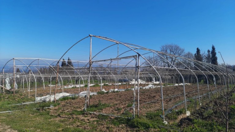 Kocaeli Büyükşehir’den çiftçiye sera desteği