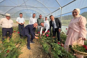 Kocaeli’nin ilk gül serası kadın girişimciden