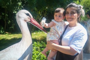 Ormanya’da yavru leylek Atlas’a sürpriz kutlama
