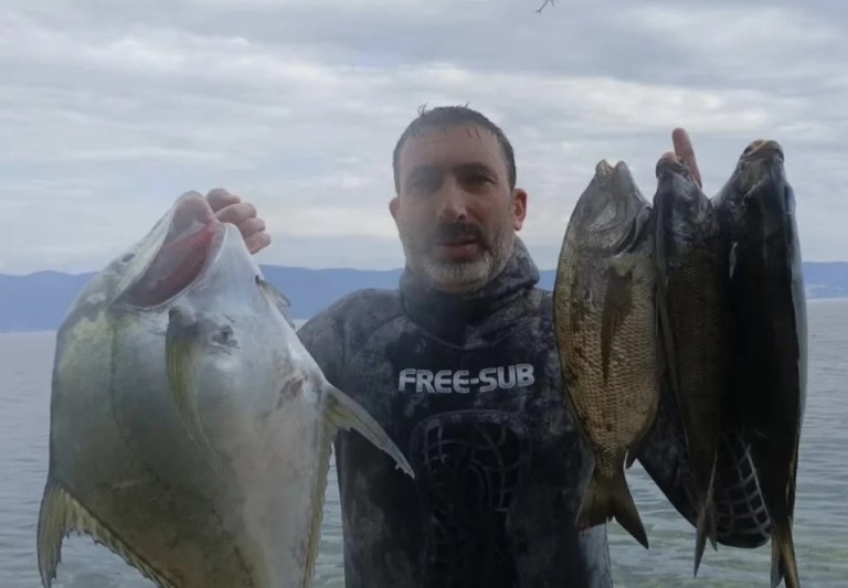 Dilovası’nda nadir deve balığı yakalandı
