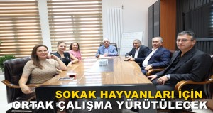 DİLOVASI’NDA CAN DOSTLAR İÇİN ANLAMLI İŞBİRLİĞİ