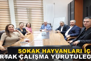 DİLOVASI’NDA CAN DOSTLAR İÇİN ANLAMLI İŞBİRLİĞİ