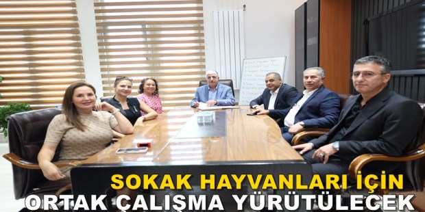 DİLOVASI’NDA CAN DOSTLAR İÇİN ANLAMLI İŞBİRLİĞİ