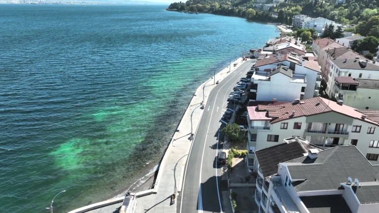 Gölcük Ulaşlı sahili koruma altına alındı - 3. görsel