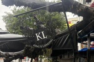 İzmit’te kafenin üzerine ağaç devrildi!