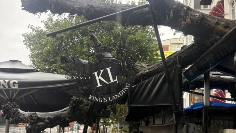 İzmit’te kafenin üzerine ağaç devrildi!