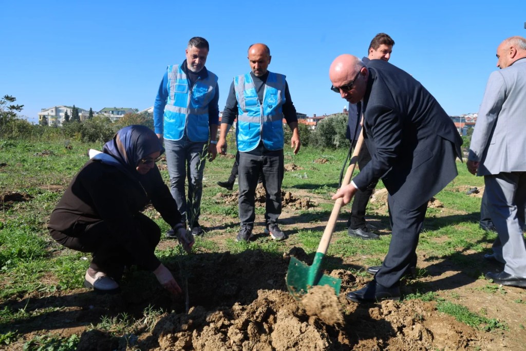 Millet Bahçesi'nde 100 zeytin fidanı dikildi