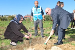 Millet Bahçesi’nde 100 zeytin fidanı dikildi